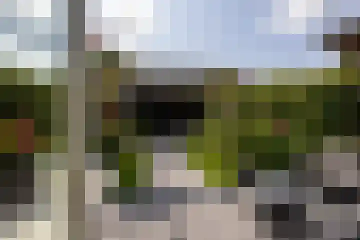 Haarzichtlaan 41 Vleuten thumbnail 20
