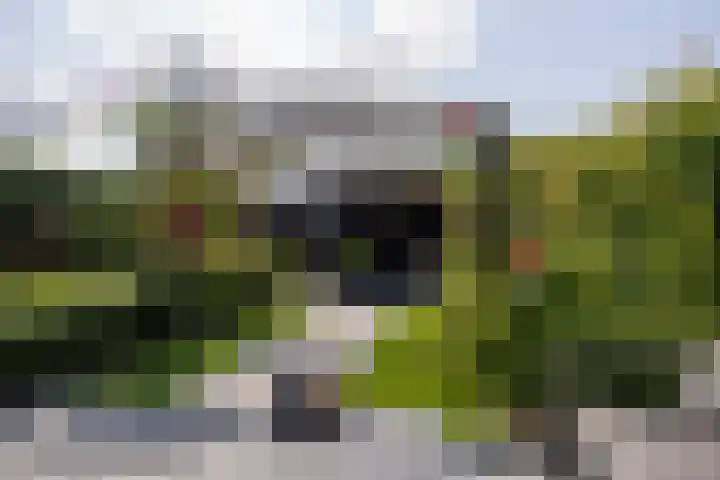 Haarzichtlaan 41 Vleuten thumbnail 22
