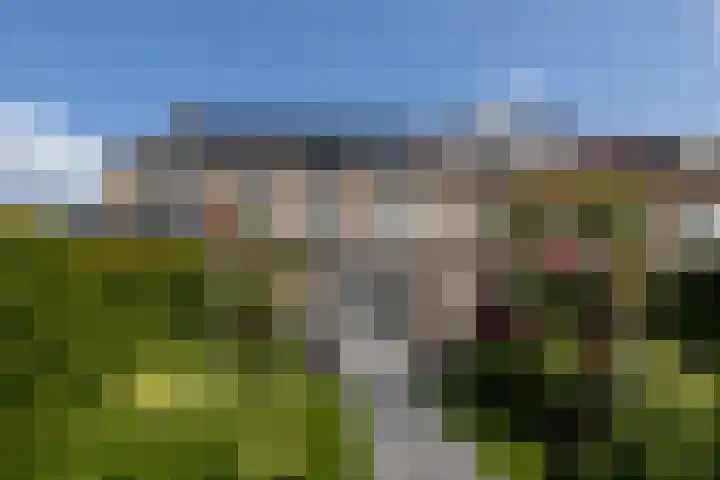 Haarzichtlaan 41 Vleuten thumbnail 24