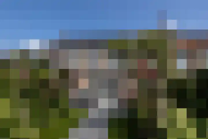 Haarzichtlaan 41 Vleuten thumbnail 25