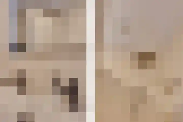 Haarzichtlaan 41 Vleuten thumbnail 27