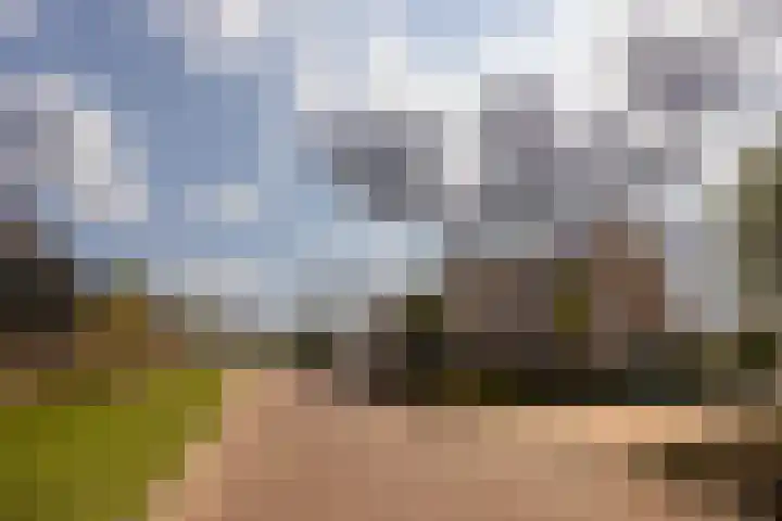 Haarzichtlaan 41 Vleuten thumbnail 38