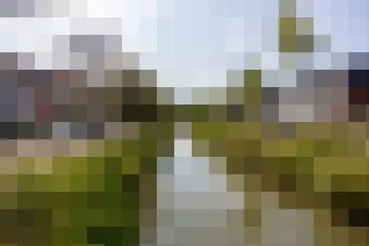 Haarzichtlaan 41 Vleuten thumbnail 39