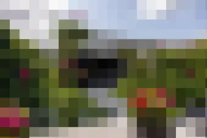 Haarzichtlaan 41 Vleuten thumbnail 4