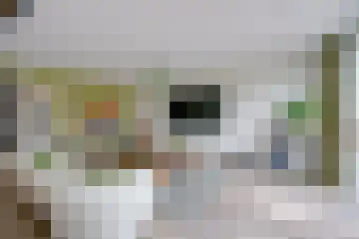 Haarzichtlaan 52 Vleuten thumbnail 19