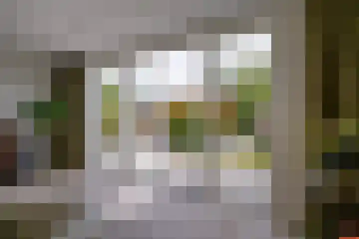 Haarzichtlaan 52 Vleuten thumbnail 20