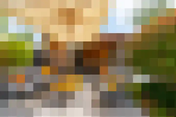 Haarzichtlaan 52 Vleuten thumbnail 23