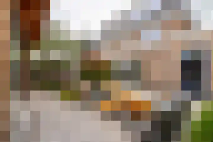 Haarzichtlaan 52 Vleuten thumbnail 26