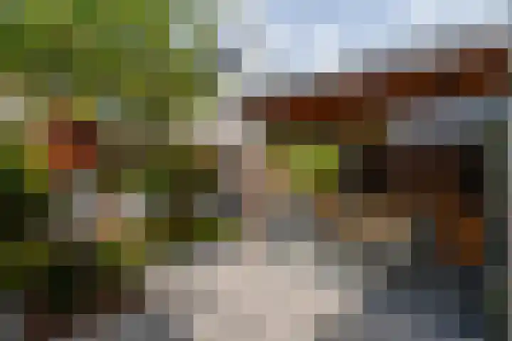 Haarzichtlaan 52 Vleuten thumbnail 27
