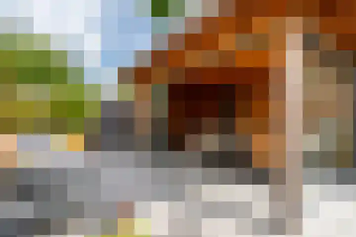 Haarzichtlaan 52 Vleuten thumbnail 28