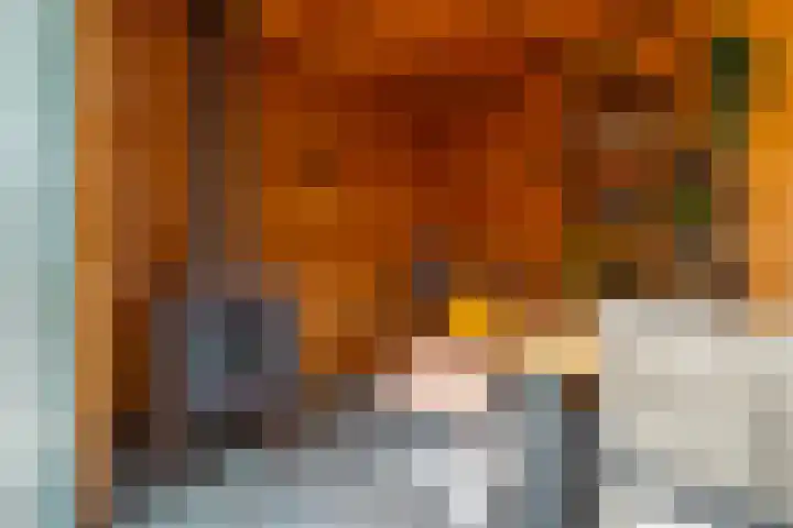 Haarzichtlaan 52 Vleuten thumbnail 29