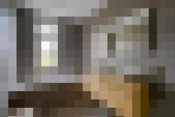 Haarzichtlaan 52 Vleuten thumbnail 36