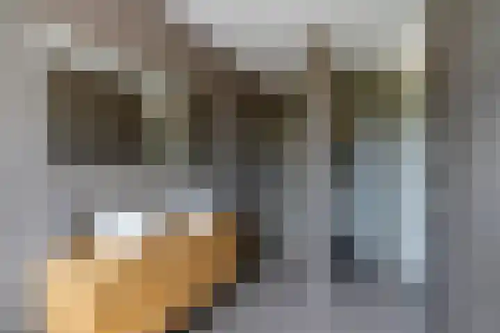 Haarzichtlaan 52 Vleuten thumbnail 37
