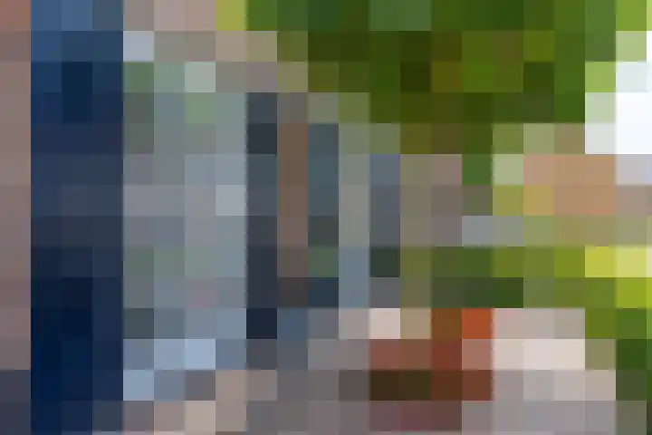 Haarzichtlaan 52 Vleuten thumbnail 6