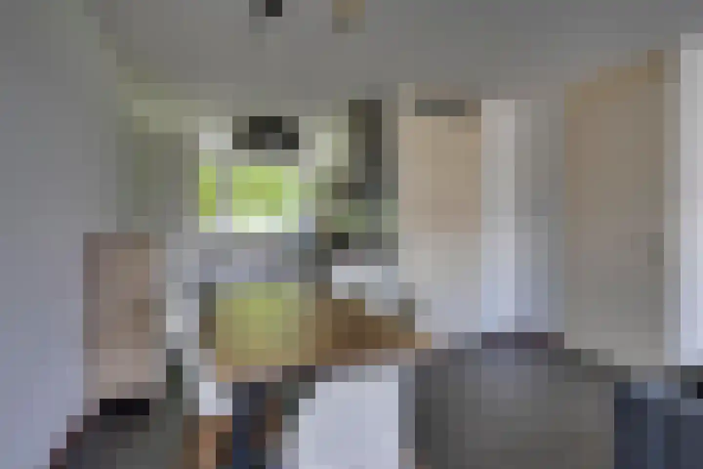 Haas 15 Veldhoven thumbnail 12