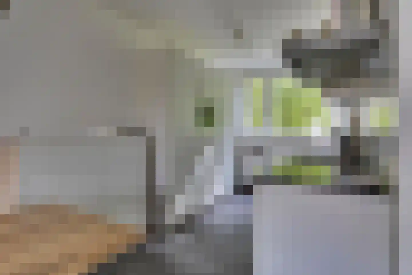Haas 15 Veldhoven thumbnail 13