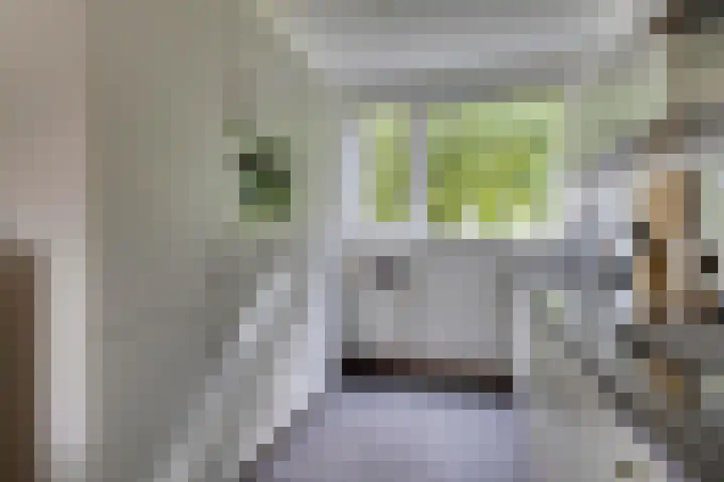 Haas 15 Veldhoven thumbnail 14