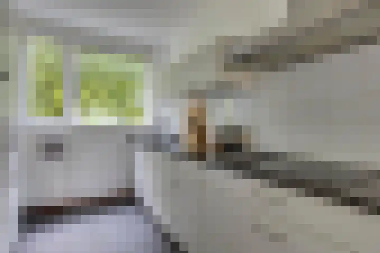 Haas 15 Veldhoven thumbnail 15
