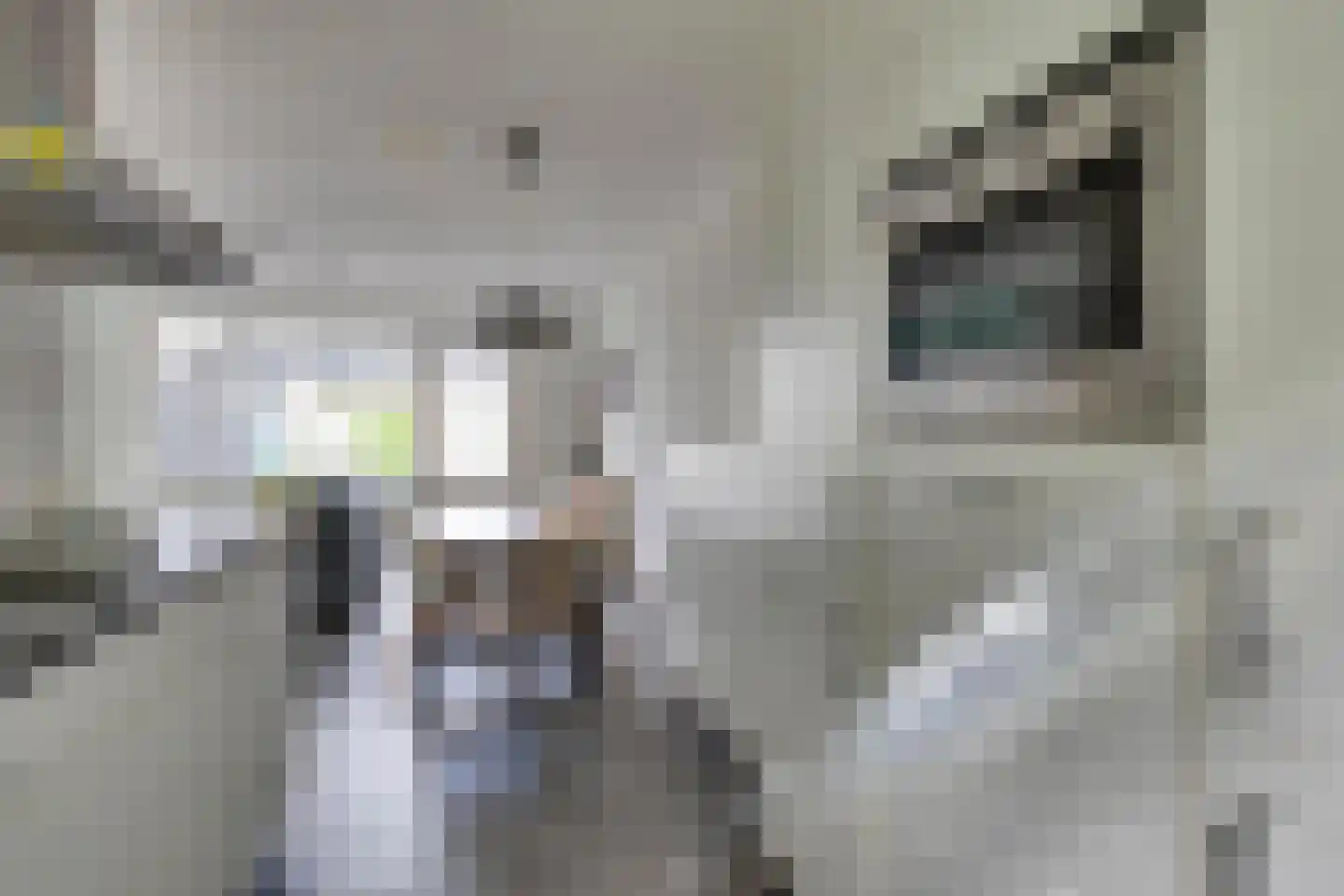 Haas 15 Veldhoven thumbnail 17
