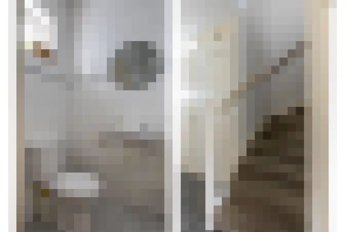 Haas 15 Veldhoven thumbnail 18