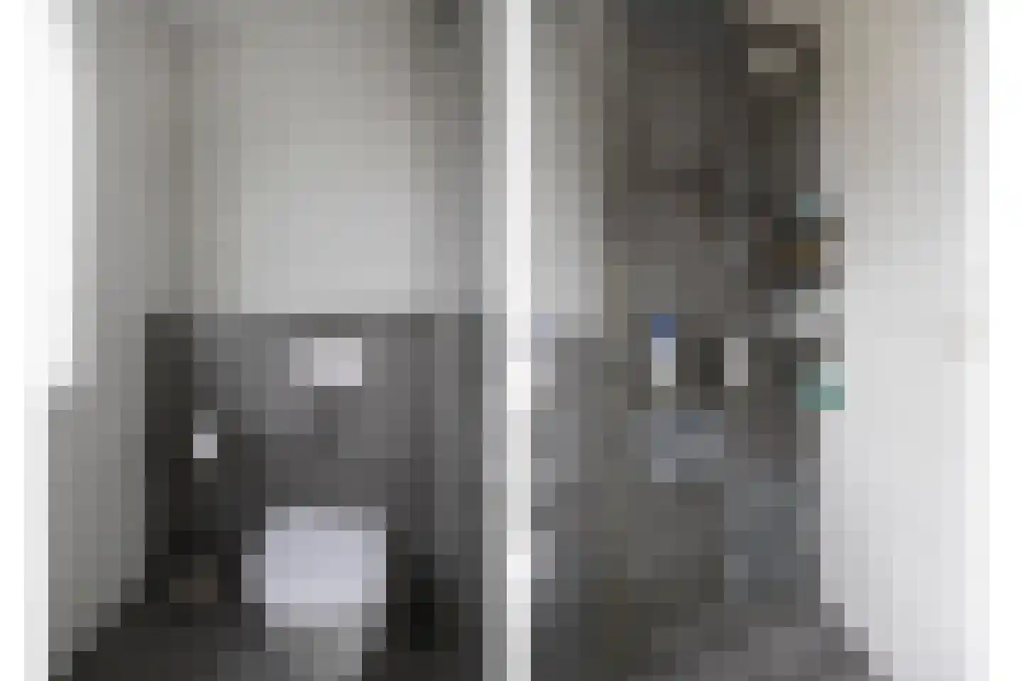 Haas 15 Veldhoven thumbnail 27