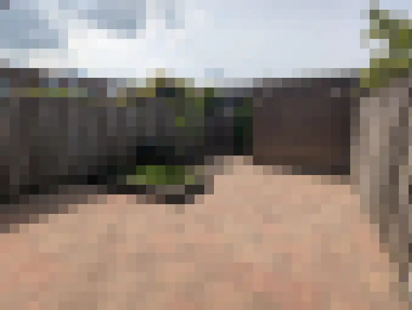 Haas 15 Veldhoven thumbnail 37