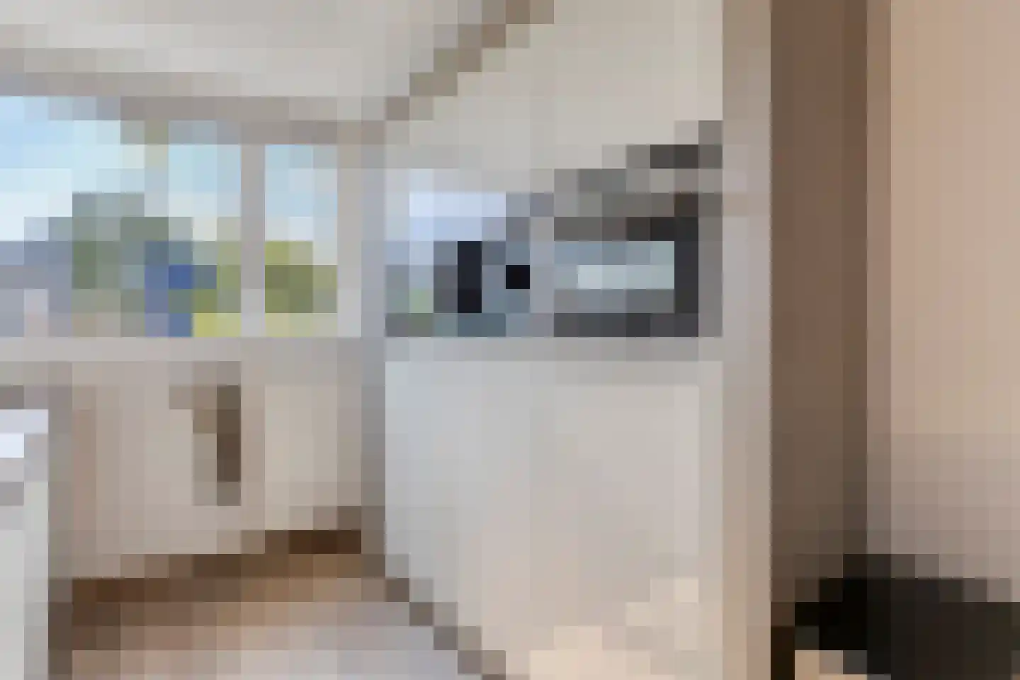 Haas 33 Veldhoven thumbnail 10