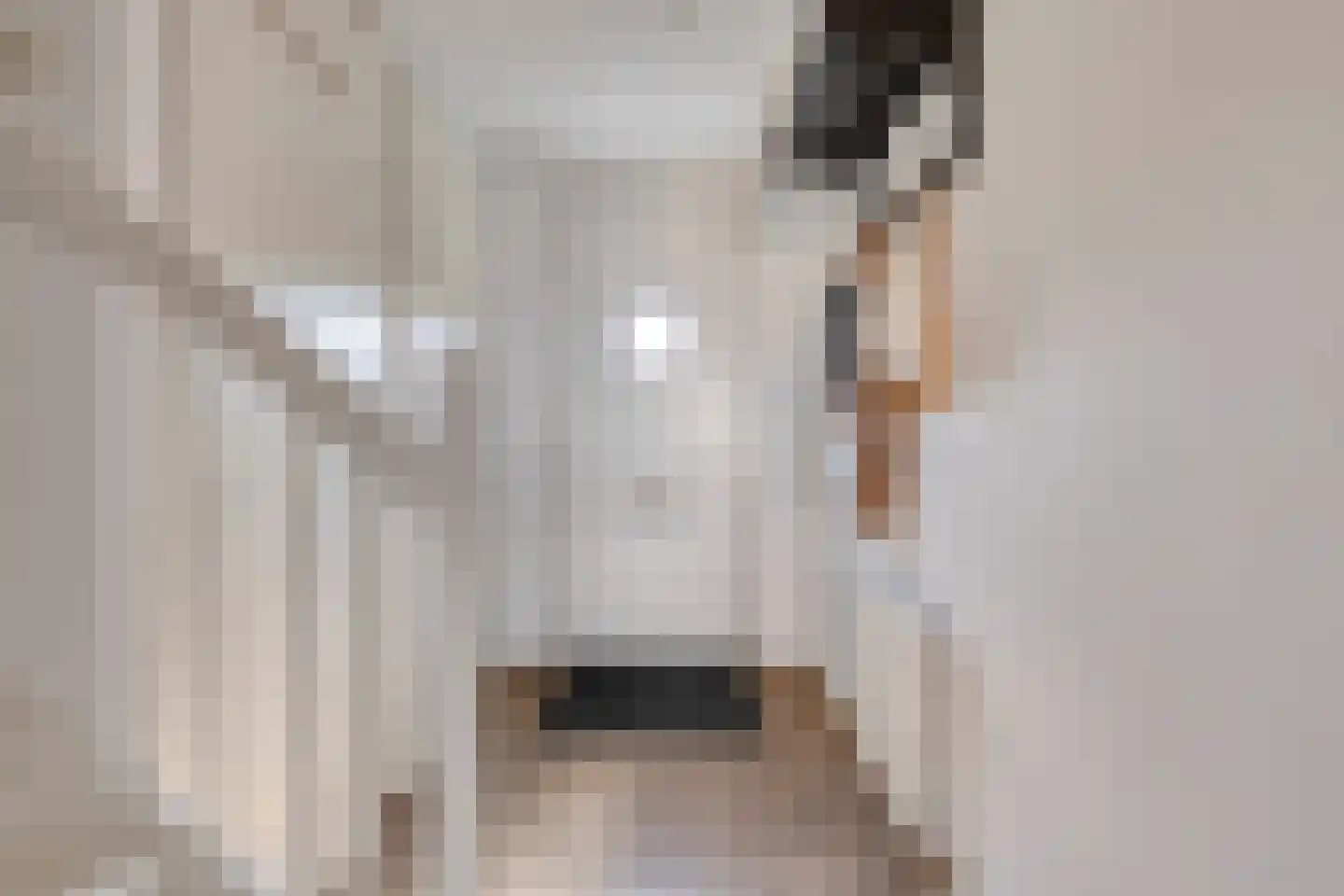 Haas 33 Veldhoven thumbnail 11