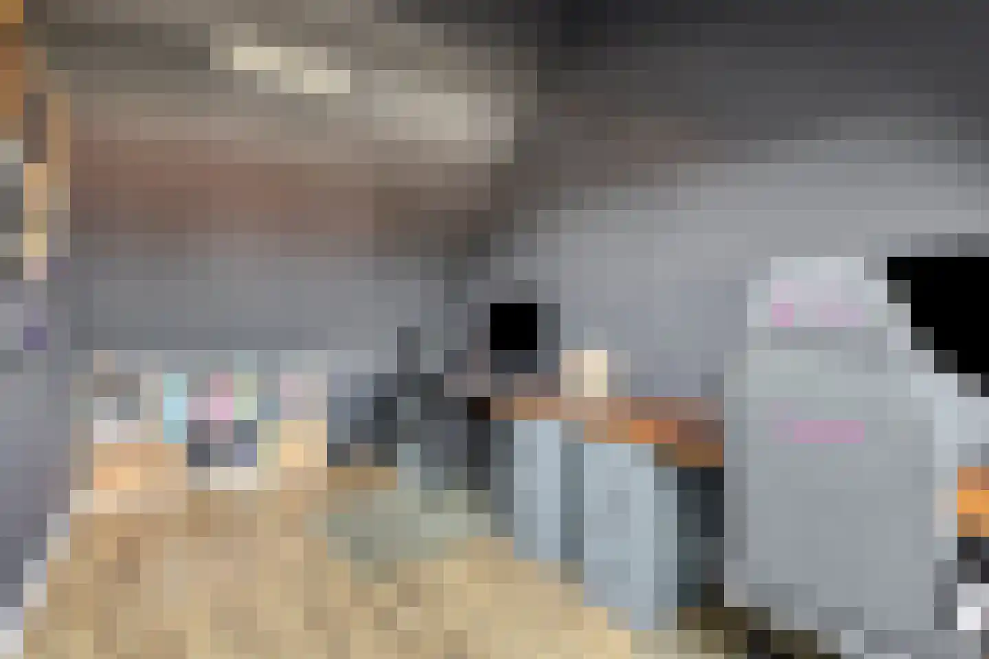 Haas 33 Veldhoven thumbnail 24