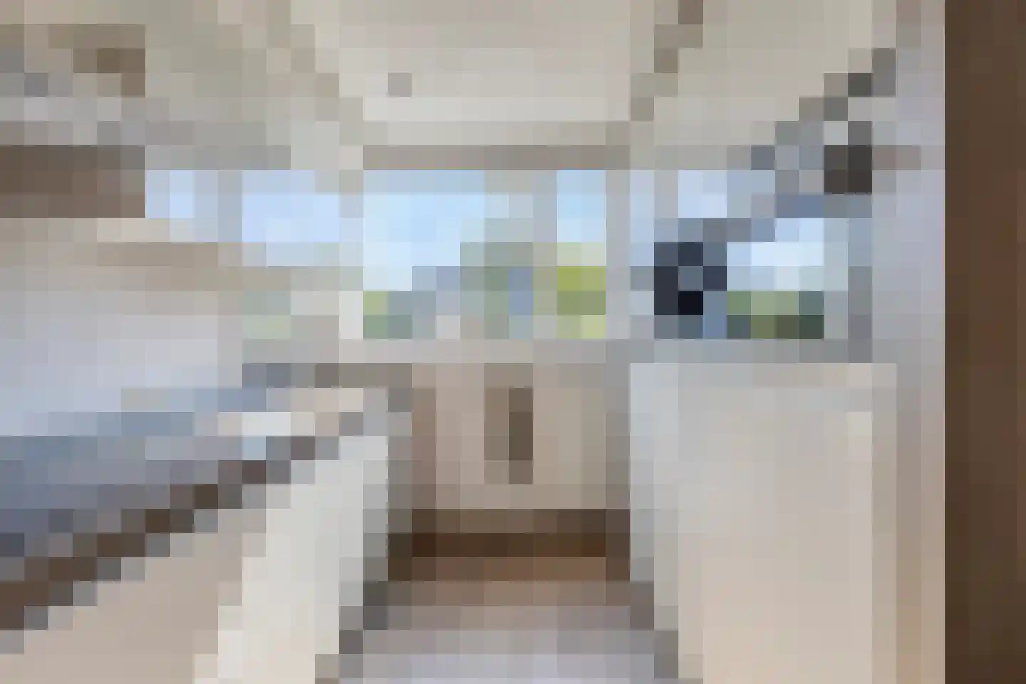 Haas 33 Veldhoven thumbnail 8