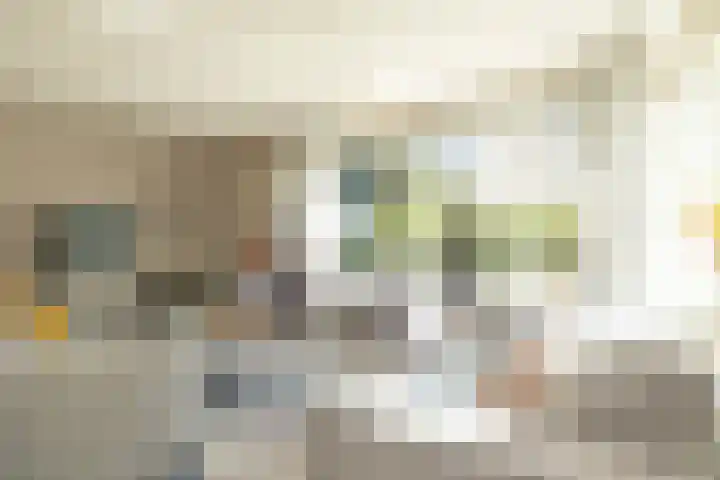 Haas 4 Koekange thumbnail 10