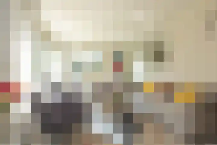 Haas 4 Koekange thumbnail 11