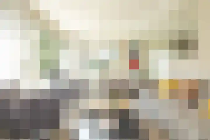 Haas 4 Koekange thumbnail 12