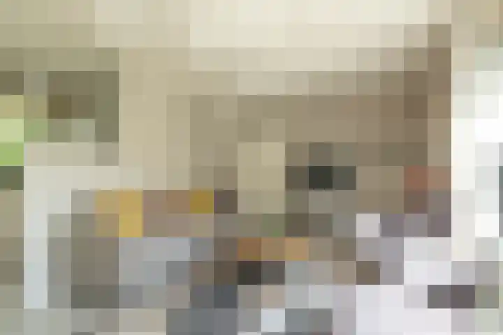 Haas 4 Koekange thumbnail 13