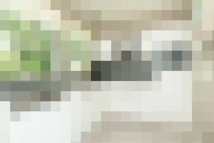 Haas 4 Koekange thumbnail 16