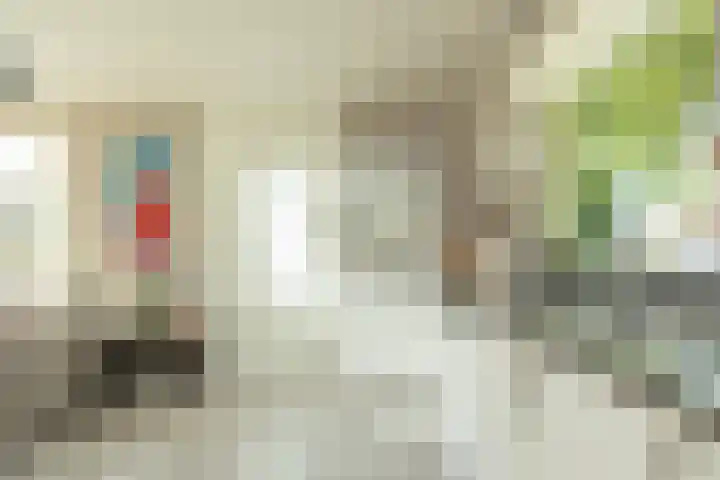 Haas 4 Koekange thumbnail 17
