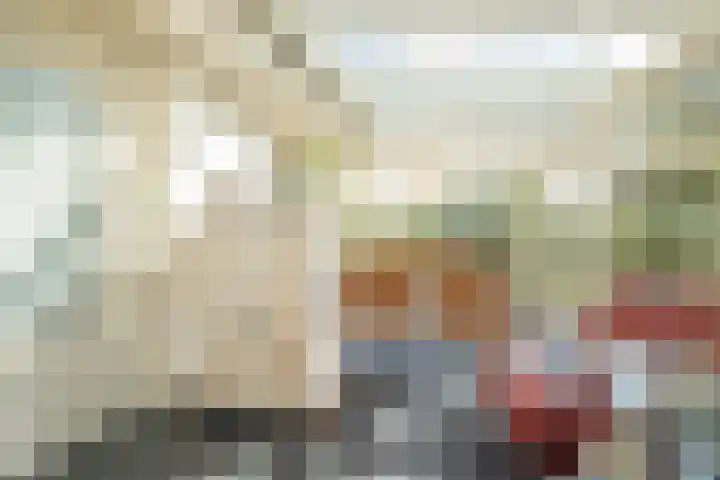 Haas 4 Koekange thumbnail 18
