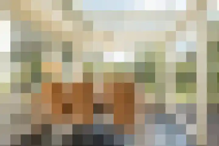 Haas 4 Koekange thumbnail 19