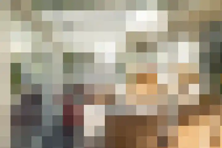 Haas 4 Koekange thumbnail 20