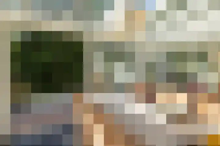 Haas 4 Koekange thumbnail 22