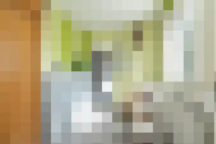 Haas 4 Koekange thumbnail 28