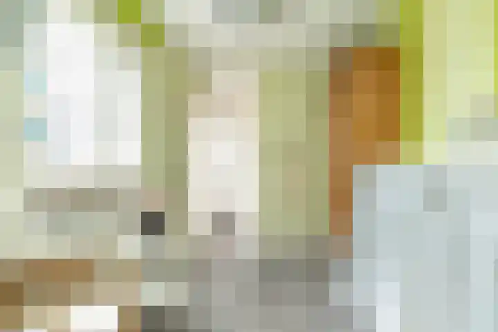 Haas 4 Koekange thumbnail 29