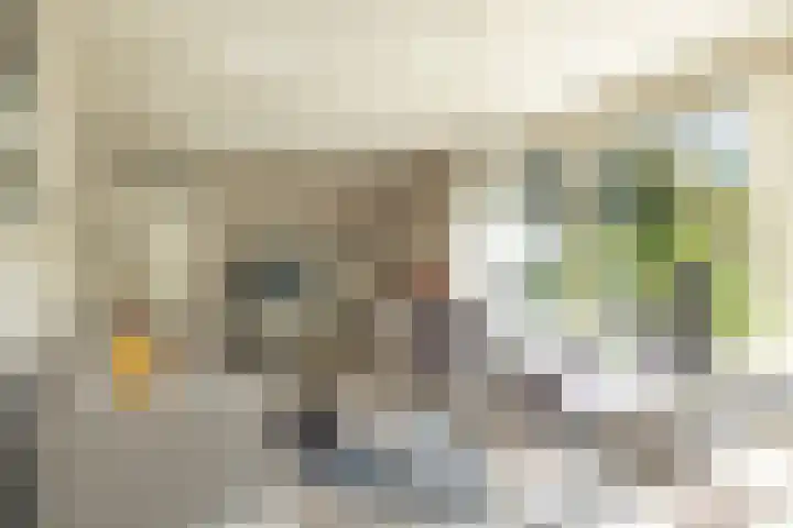 Haas 4 Koekange foto 3