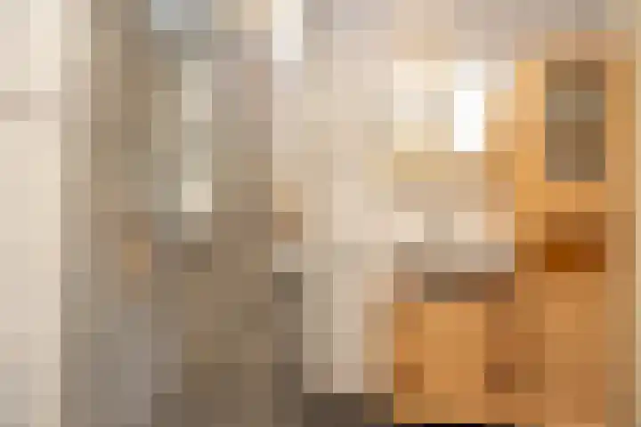 Haas 4 Koekange thumbnail 34