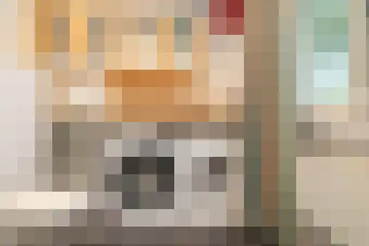 Haas 4 Koekange thumbnail 36