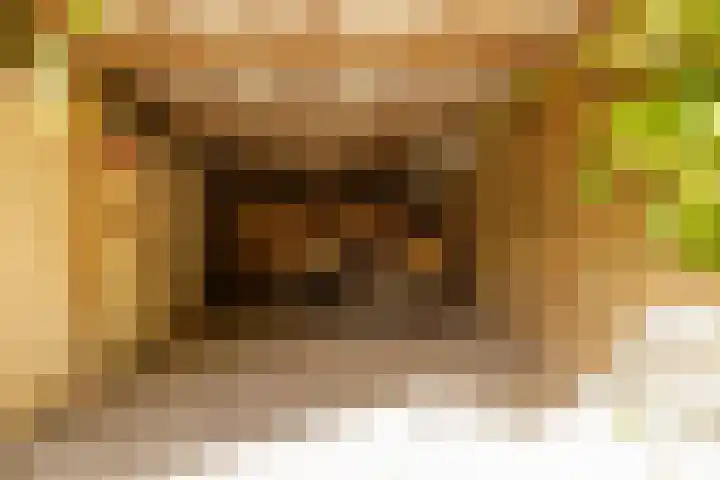 Haas 4 Koekange thumbnail 38