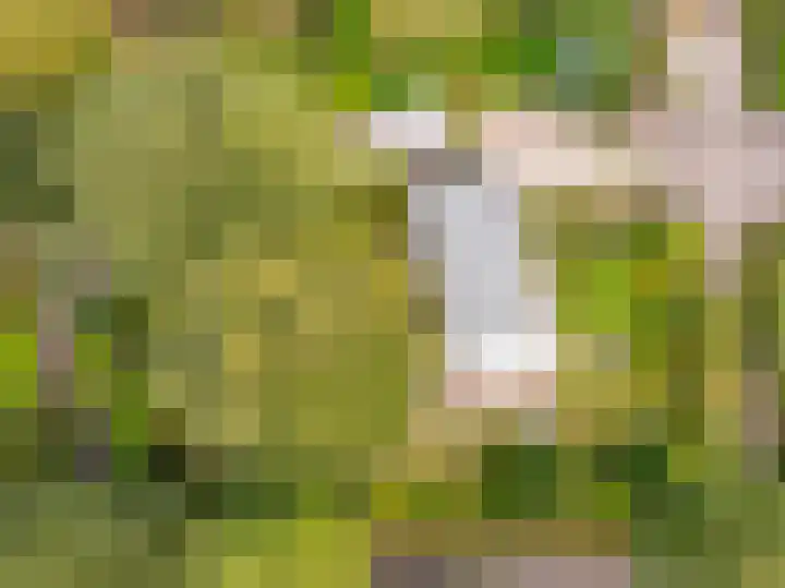 Haas 4 Koekange thumbnail 39