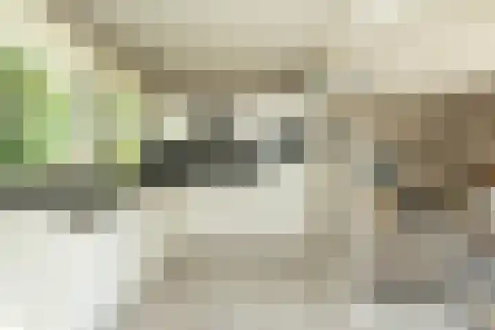 Haas 4 Koekange thumbnail 4