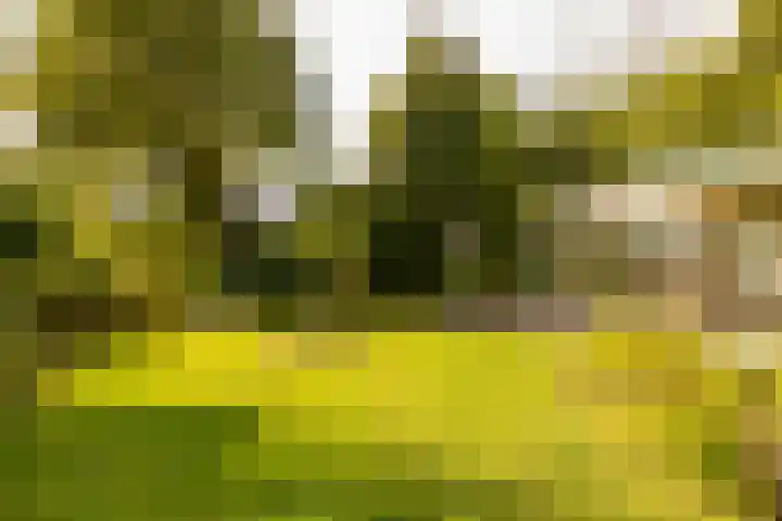 Haas 4 Koekange thumbnail 40