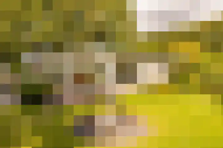 Haas 4 Koekange thumbnail 41